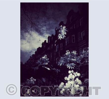 London Christmas, Sloane Square