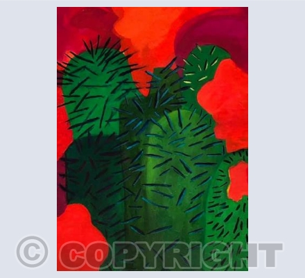 Flamboyant Cactus 