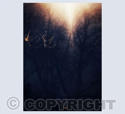 There came a light