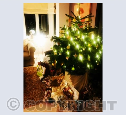 Our Christmas Tree 