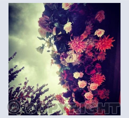 Gatherings of flowers