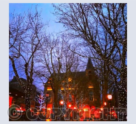 Christmas Lights Lux 