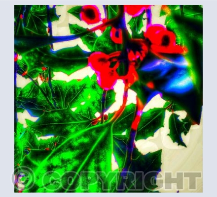 Neon Christmas fauna