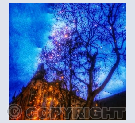 Christmas Twinkling Lights 