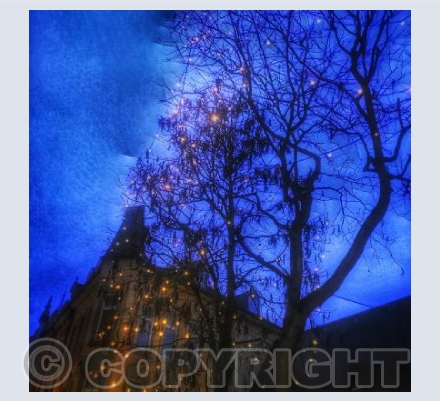 Starry night 