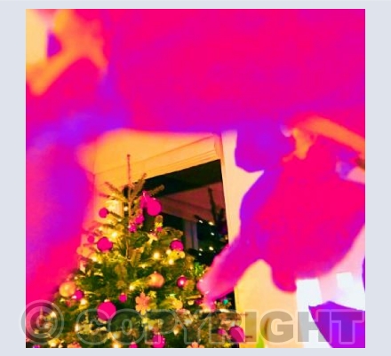 Pink Christmas Tree