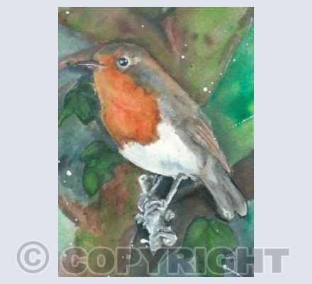 Robin