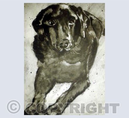 Wonky Dog