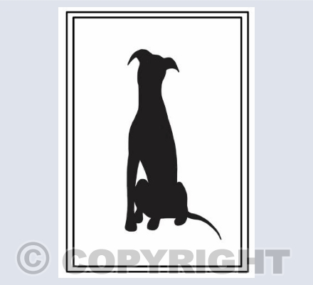 Solid sitting greyhound 