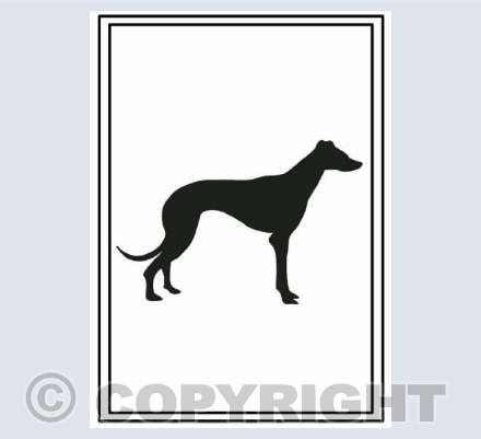solid standing greyhound