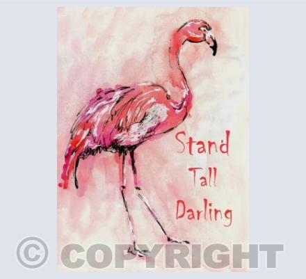 Flamingo 