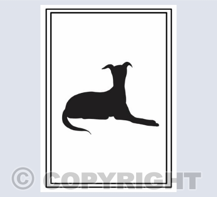 Relaxing greyhound *