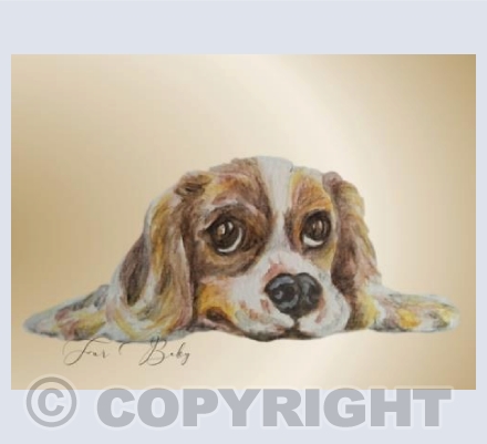 Fur Baby:  Spaniel Puppy *