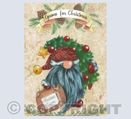 CHRIS17 GNOME FOR CHRISTMAS 