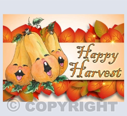HALW005 HAPPY HARVEST BUTTERNUTS