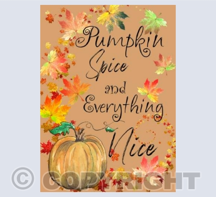 HALW007 PUMPKIN AND SPICE CARMEL 