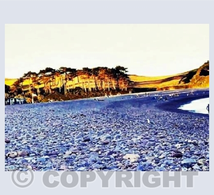 A walk on Budleigh beach.