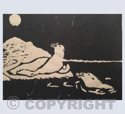 Seals by Moonlight