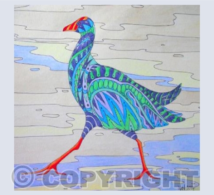 Patterned Pukeko