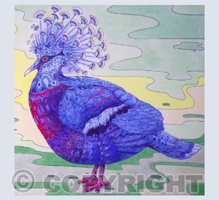 Patterned Pigeon