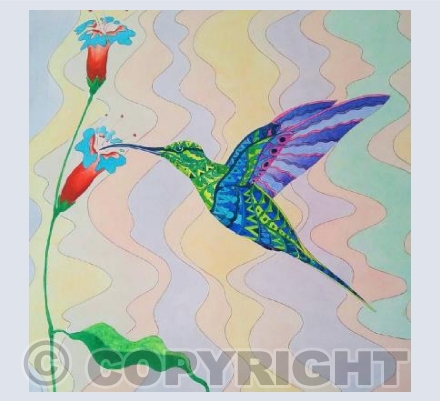Patterned Hummingbird