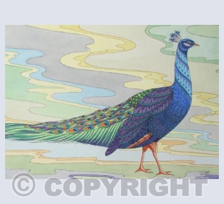 Patterned Peacock