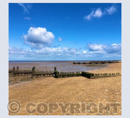 Breathe in the Peace