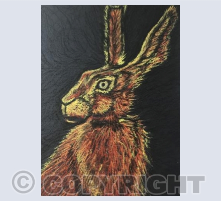 The Ginger Leveret