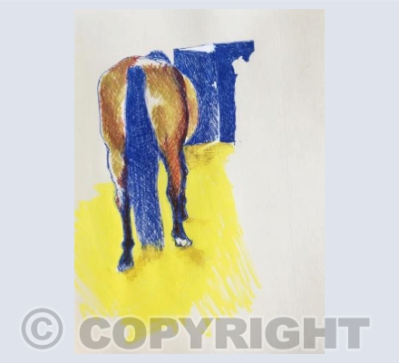 Horse in stables near Cologne, 2018