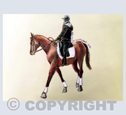 Laurentia and Sherlock training, 2018