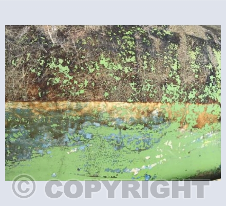 Waterline Green