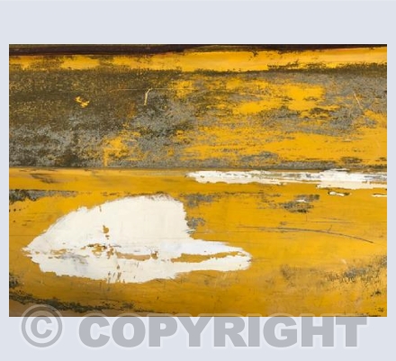 Waterline Yellow