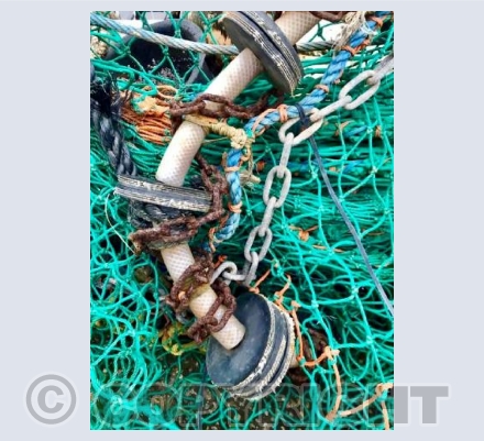 Net II