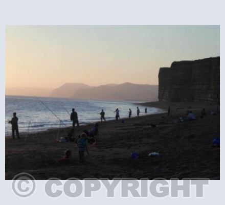 Hive Beach 