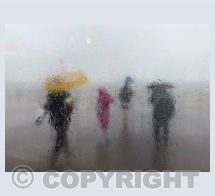 Rainy Day