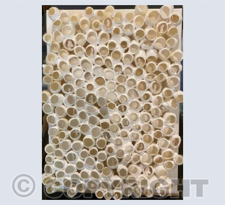 Shielding 2020 Mixed media
