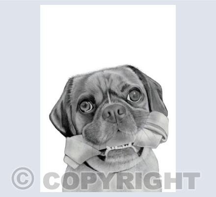 Toby Card