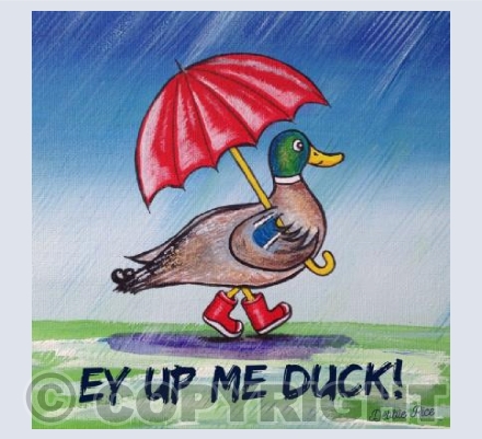 Ey up me Duck