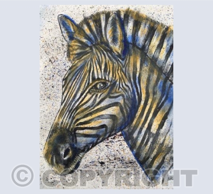 Zebra