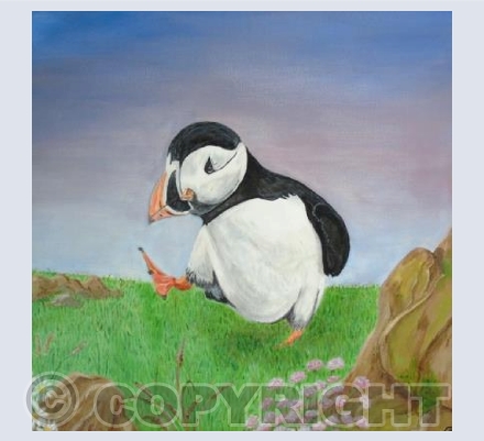 Puffin Dance