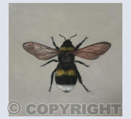 Bumblebee 