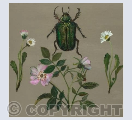 Beetle and wild rose