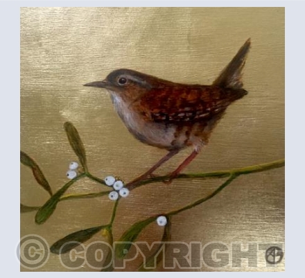 Wren on Mistletoe 