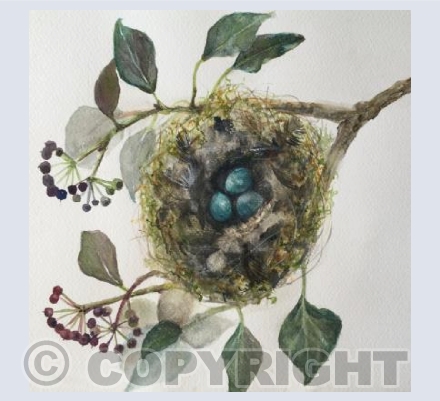 Nest