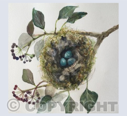 Nest