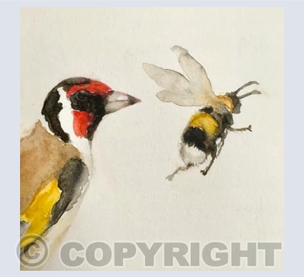 Goldfinch and Bee