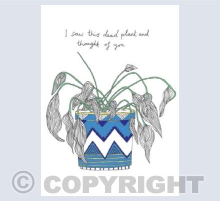 dead plant