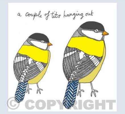 a couple of tits