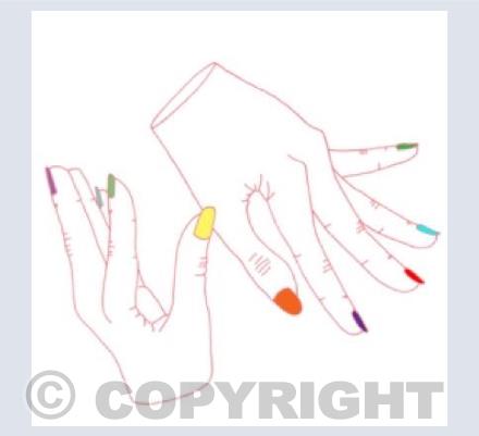 fingers