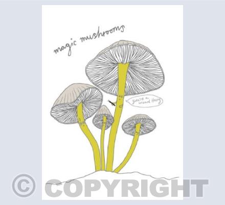 magic mushrooms